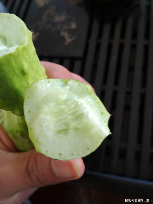白玉瓜可以怎么吃,创意烹饪新体验