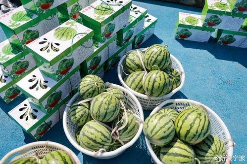 吃瓜笑子,揭秘娱乐圈幕后趣闻