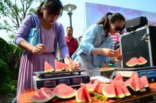 日照吃瓜大赛官网,吃瓜大赛官网揭秘狂欢盛况”