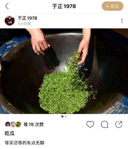 穿到民国吃瓜看戏豆芽,吃瓜看戏，豆芽人生