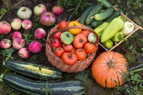 五花吃瓜,揭秘娱乐圈的幕后故事