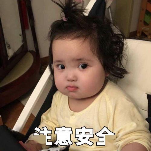 网友吃瓜被警察找,一场意外的“瓜田”奇遇