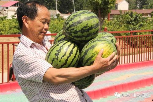 大型吃瓜节目名称,一场全民狂欢的娱乐盛宴