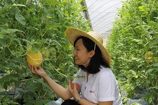 青州摄影吃瓜,捕捉光影中的吃瓜乐趣