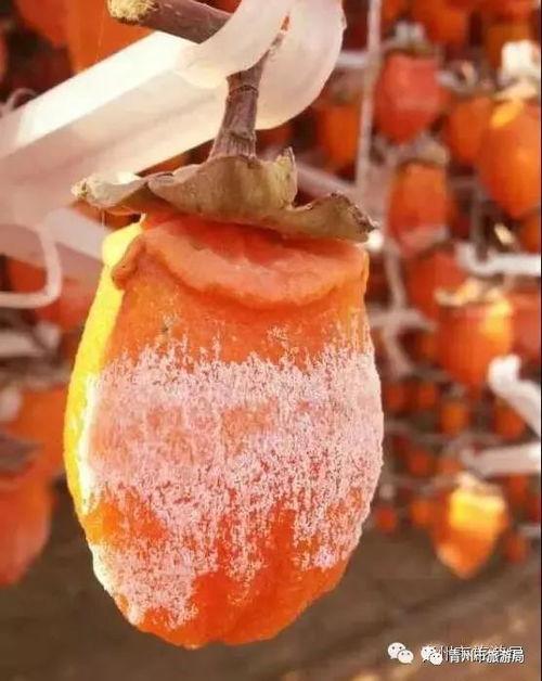 青州摄影吃瓜,捕捉光影中的吃瓜乐趣