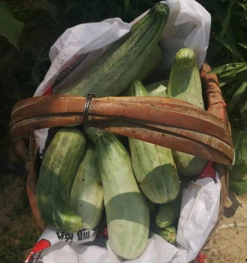 反向吃瓜带货,揭秘网红新潮流