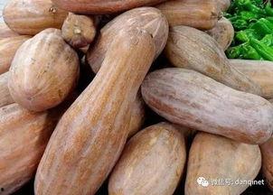 华华吃瓜地,揭秘娱乐圈幕后故事