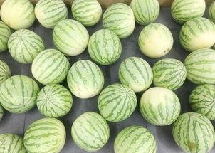 华华吃瓜地,揭秘娱乐圈幕后故事