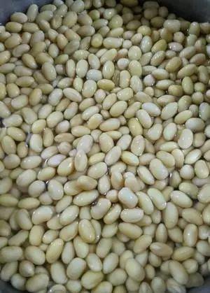 吃瓜大料全集,揭秘娱乐圈幕后真相