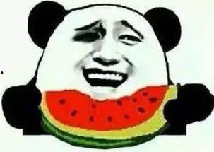 上瘾了吃瓜群众,揭秘“上瘾”吃瓜群众的疯狂世界