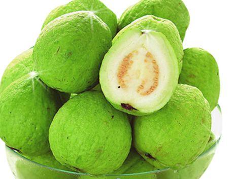 波特吃酸瓜,一场味蕾的冒险之旅