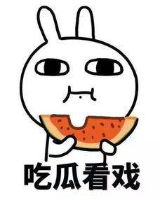 吃瓜小涵,揭秘娱乐圈那些不为人知的幕后故事