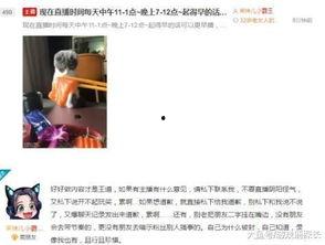 聊天吃瓜主播,吃瓜主播的幕后故事