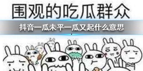 近日抖音吃瓜,揭秘近期热门事件幕后真相！”