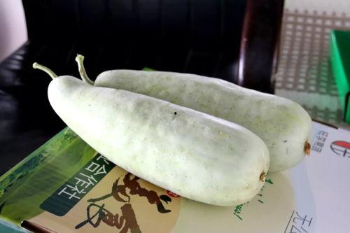 博洋瓜怎样吃,解锁美味新体验