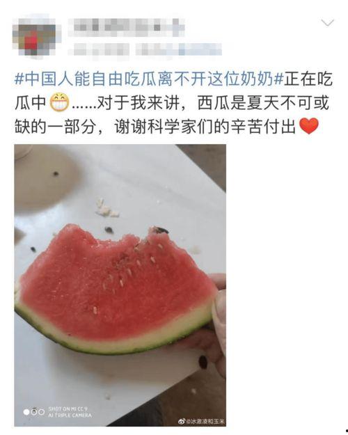皇祖母吃瓜,宫廷与民间的故事交织