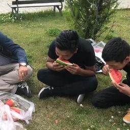 校园吃瓜有偿视频,揭秘有偿视频背后的真相