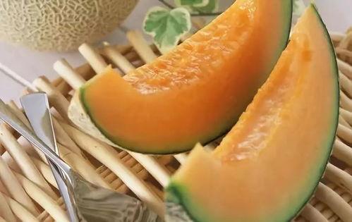 吃长毛的哈密瓜,独特风味背后的秘密