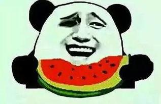 吃瓜怎么接受,吃瓜群众如何优雅接受信息风暴