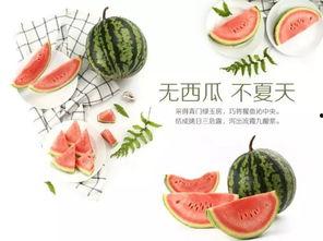 吃瓜活动名称,一场全民参与的美食狂欢盛宴