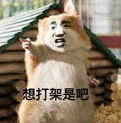 泰国海底捞吃瓜,一场别开生面的“吃瓜”盛宴