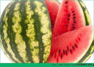 每日吃瓜主题吃瓜校园