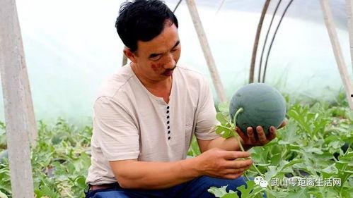 吃瓜群众福利的图片