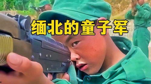 缅北吃瓜直播,揭秘吃瓜群众的狂欢盛宴