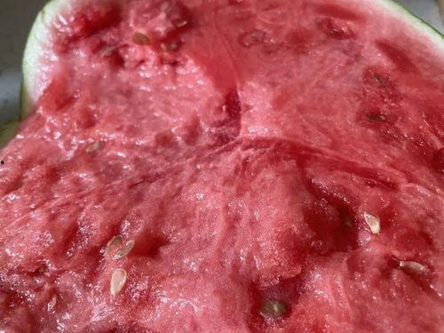 不困吃瓜视频,揭秘娱乐圈幕后故事，带你领略明星真实生活