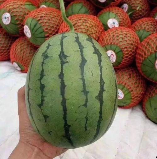 不困吃瓜视频,揭秘娱乐圈幕后故事，带你领略明星真实生活