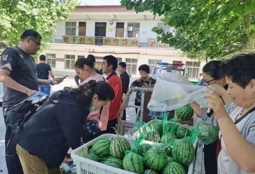 回沈阳吃瓜群众,回乡吃瓜群众的味蕾狂欢之旅