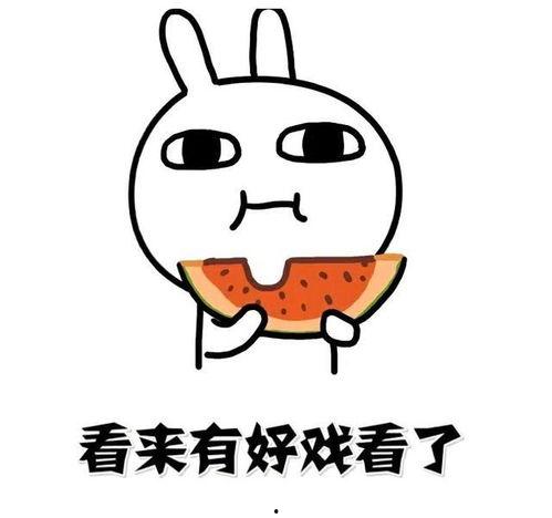 吃瓜落雪后续,揭秘神秘事件背后的真相与谜团