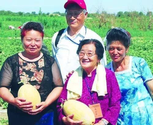 高中教师吃瓜,揭秘高中教师那些不为人知的“吃瓜”故事