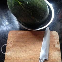 宠优吃瓜,揭秘娱乐圈背后的甜蜜与苦涩