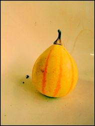 新沂吃瓜配音,趣味配音带你领略地方特色