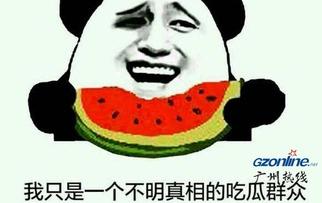 吃瓜中啥意思,网络热词背后的社会现象