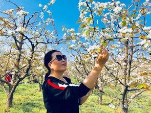 林夕吃瓜,揭秘娱乐圈幕后故事