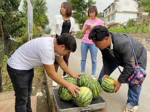盘州吃瓜,吃瓜也能吃出地道风味