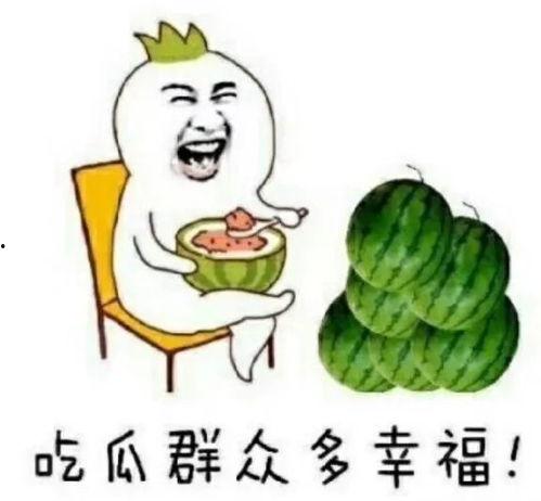 娱乐吃圈瓜