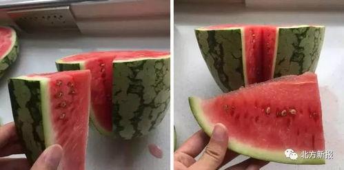 大暑期吃瓜,盘点那些清凉一夏的趣味新闻