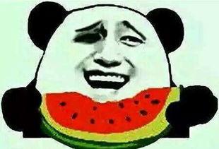 没的瓜吃,揭秘“没的瓜吃”背后的故事