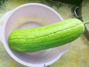 水瓜小孩可以吃不