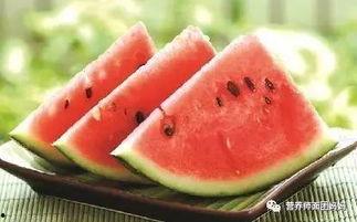 瓜树可以吃,大自然的馈赠，绿色健康的美食探索  第3张