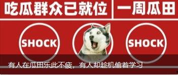 乐此不疲吃瓜中  第2张