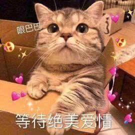 乐此不疲吃瓜中  第3张