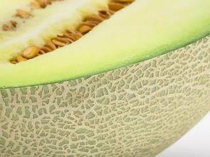 什么瓜吃瓤不好吃,为何某些瓜类去瓤后口感不佳的原因  第2张