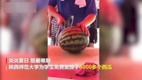 吃瓜天降大瓜视频