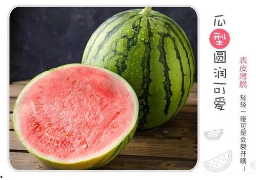 汉化界的泥石流吃瓜吃瓜,吃瓜群众围观下的文化碰撞与融合  第1张