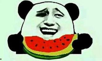 汉化界的泥石流吃瓜吃瓜,吃瓜群众围观下的文化碰撞与融合  第3张