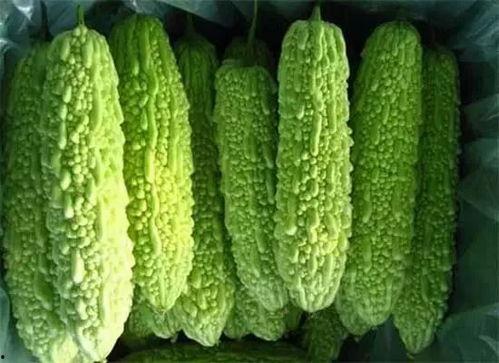 南宁相思湖吃瓜,夏日吃瓜好去处，尽享悠闲时光  第2张